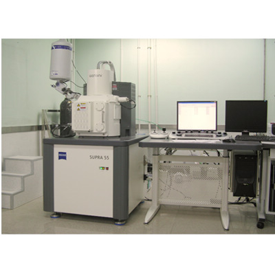  SEM (Scanning Electron Microscope) Analysis